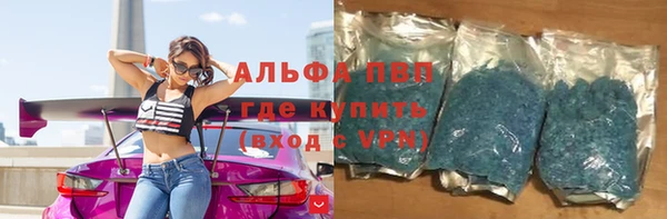 индика Арсеньев