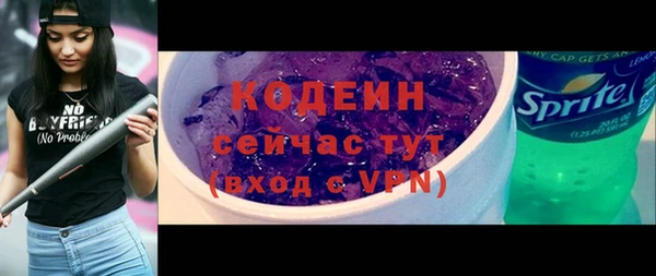 индика Арсеньев