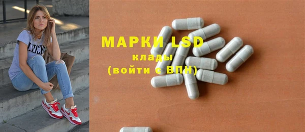 индика Арсеньев