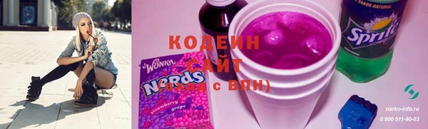 индика Арсеньев