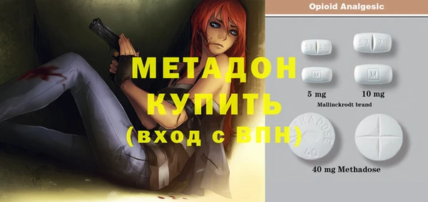 индика Арсеньев