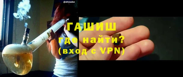 индика Арсеньев
