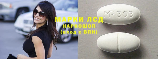 индика Арсеньев