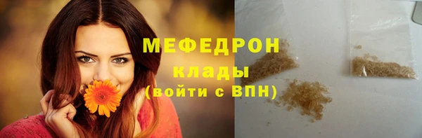 индика Арсеньев