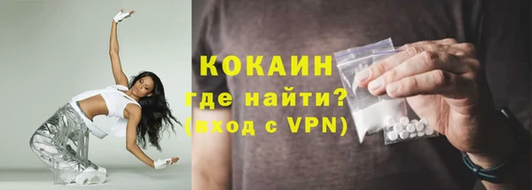 индика Арсеньев