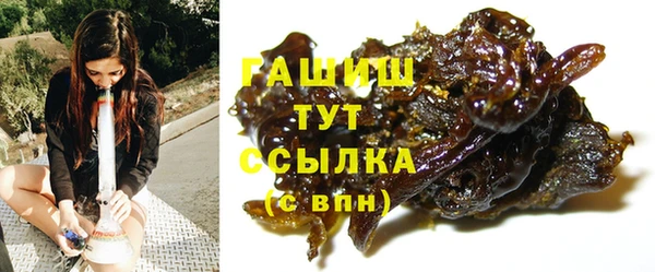 индика Арсеньев
