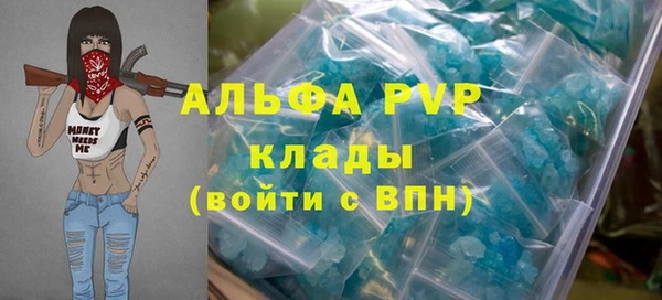 индика Арсеньев