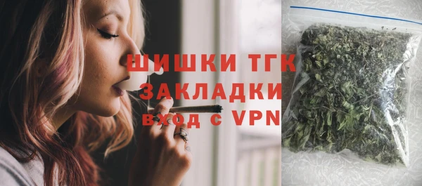 индика Арсеньев