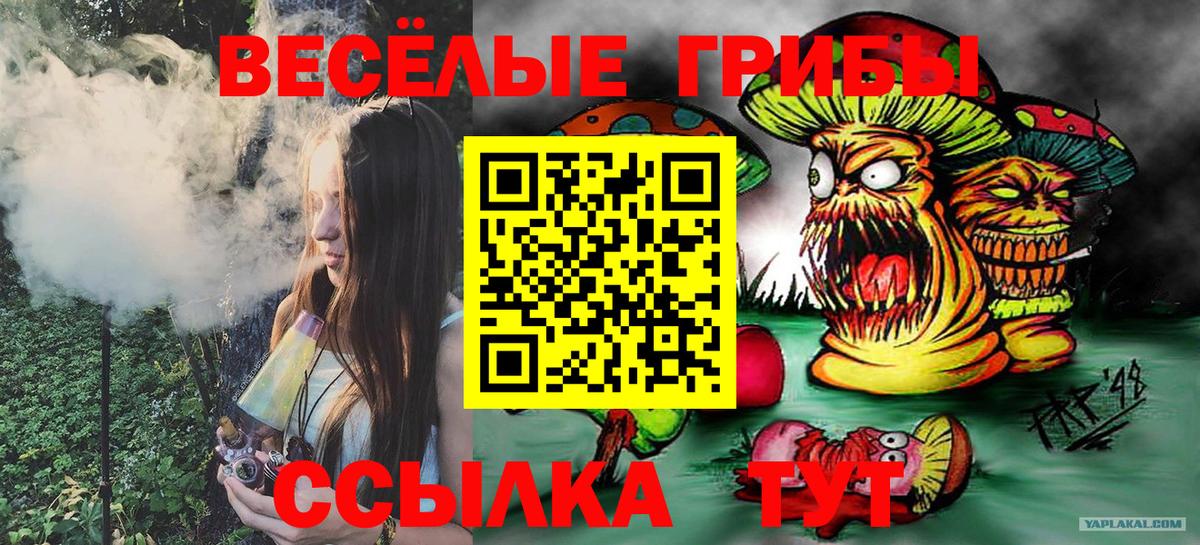 Галлюциногенные грибы Psilocybe Белорецк