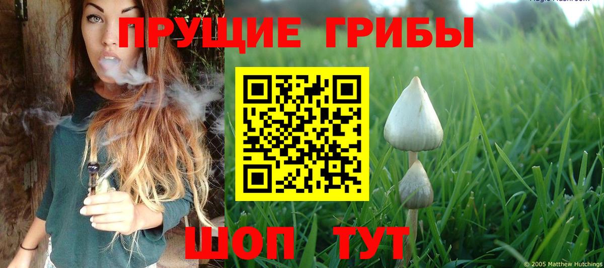 Белорецк  Псилоцибиновые грибы Cubensis  Вход с VPN  Галлюциногенные грибы Magic Shrooms 